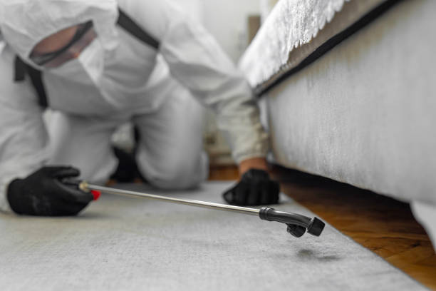 Professional Mosquito Control technician working in Maroa, IL