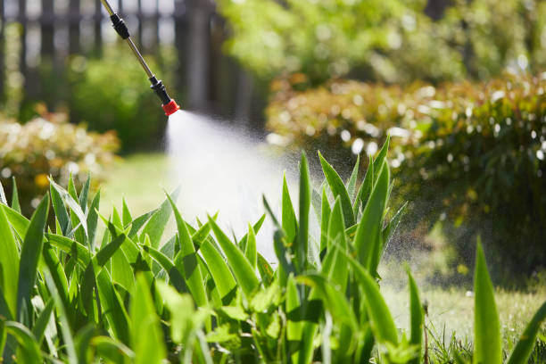 24/7 Emergency Mosquito Control experts in Maroa, IL